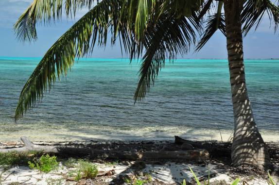 Half Moon Caye, perto do Blue Hole, na grande barreira de corais, em Belize